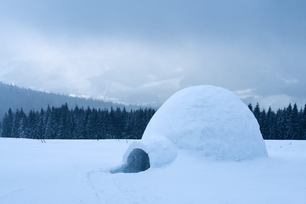 Igloo devant un paysage d'arbres