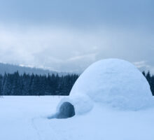 Igloo devant un paysage d'arbres