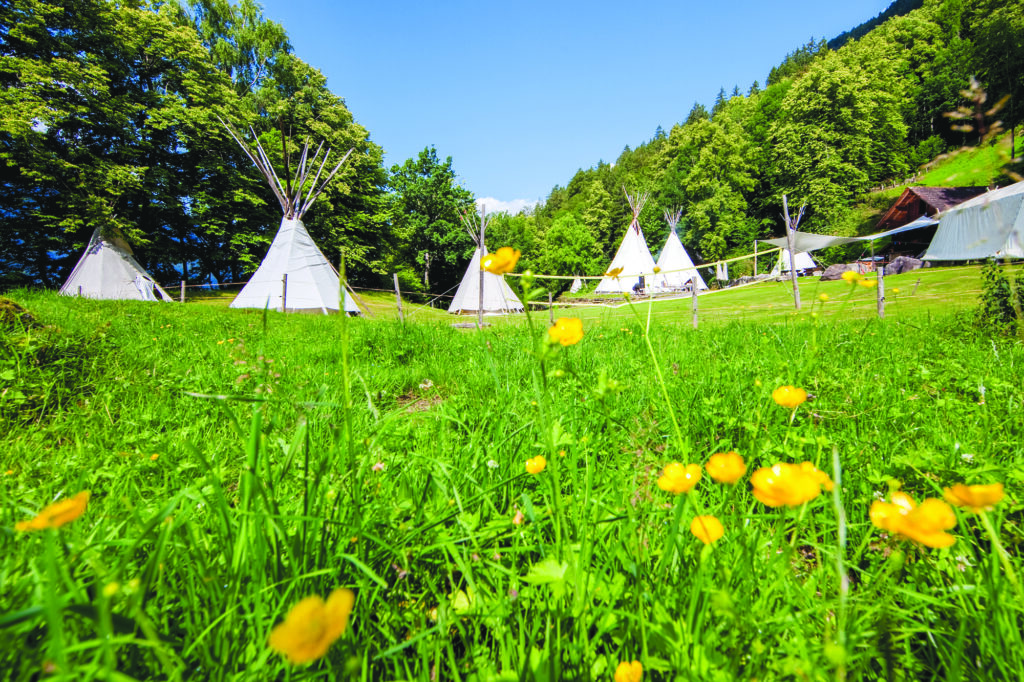 Tipis dans un champ fleuri