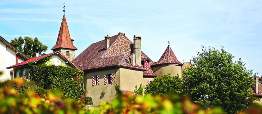 Vue extérieure du Château Rochefort