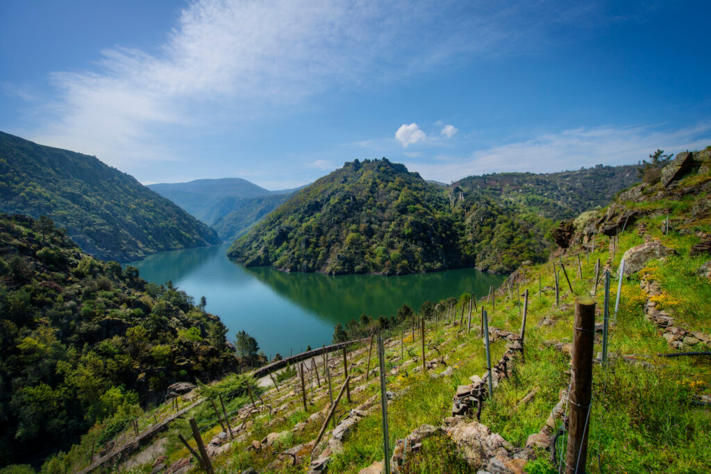 Vista desde un viñedo de la Ribeira Sacra