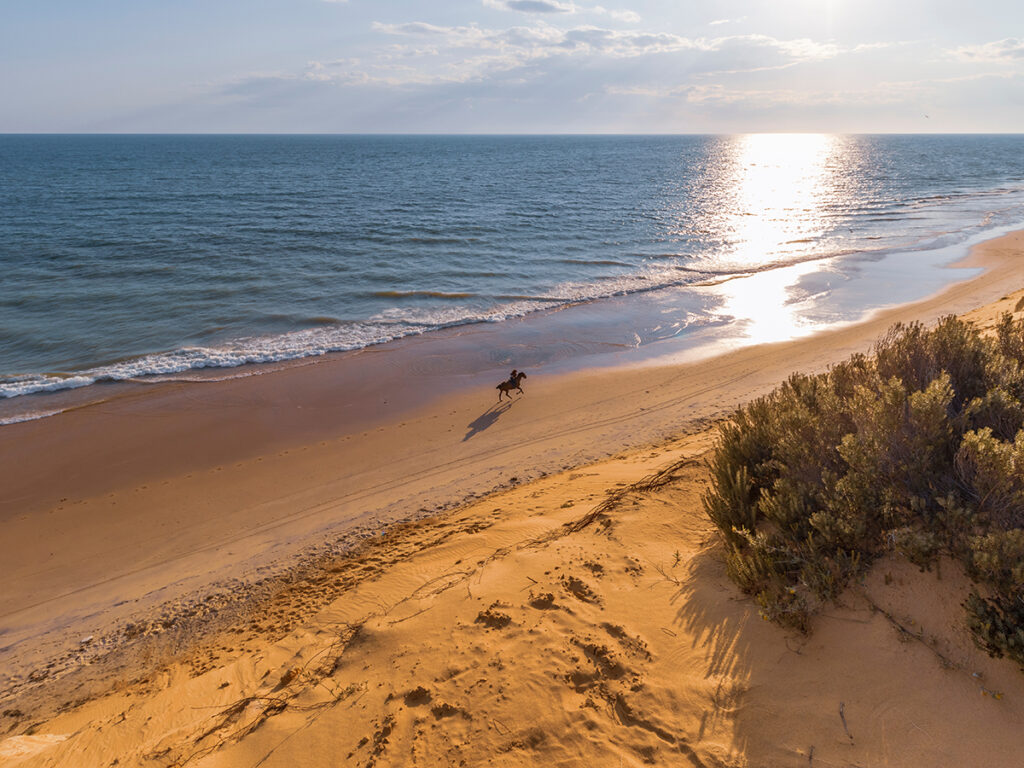 Fotografía de la playa de Matalascañas en Huelva