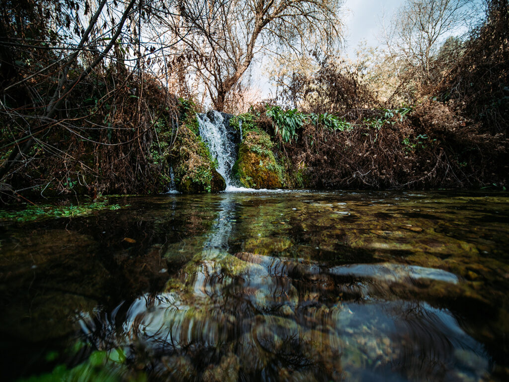 Fotografía de un riachuelo en la Sierra de Mariola, en Alicante