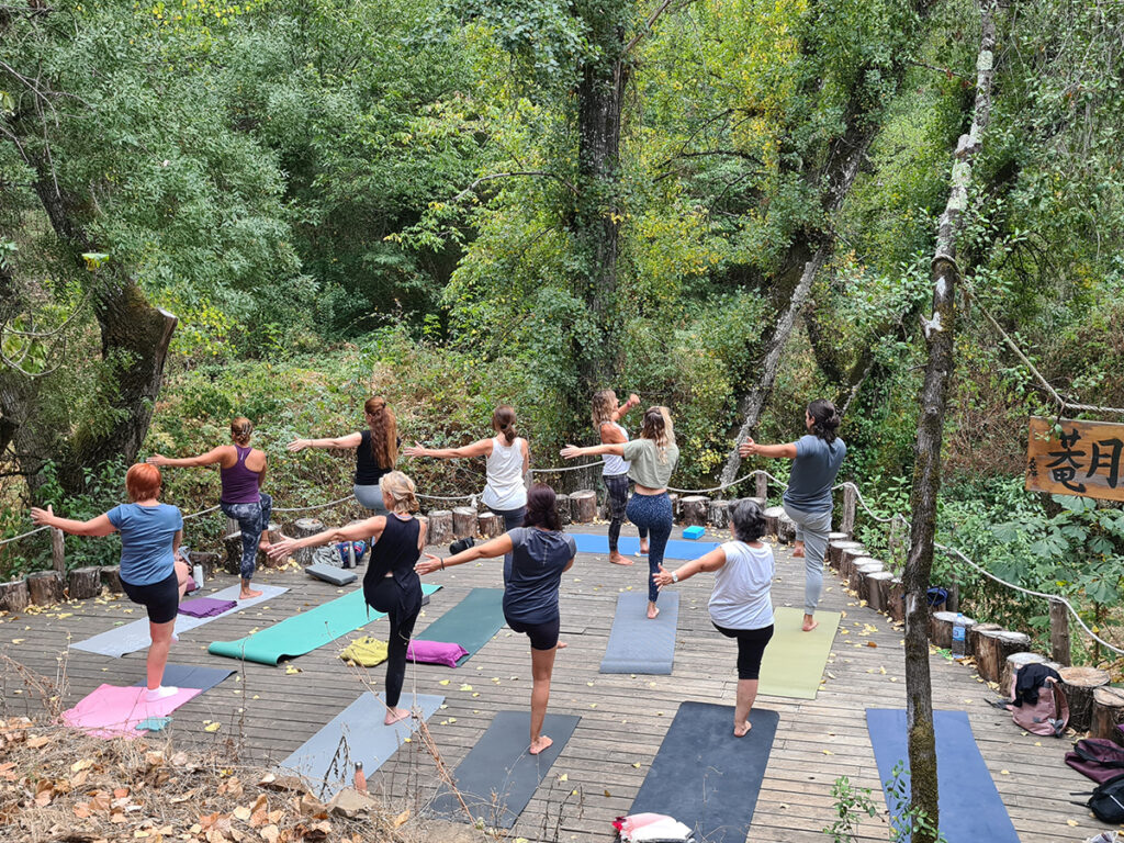 Grupo de retiro practicando yoga