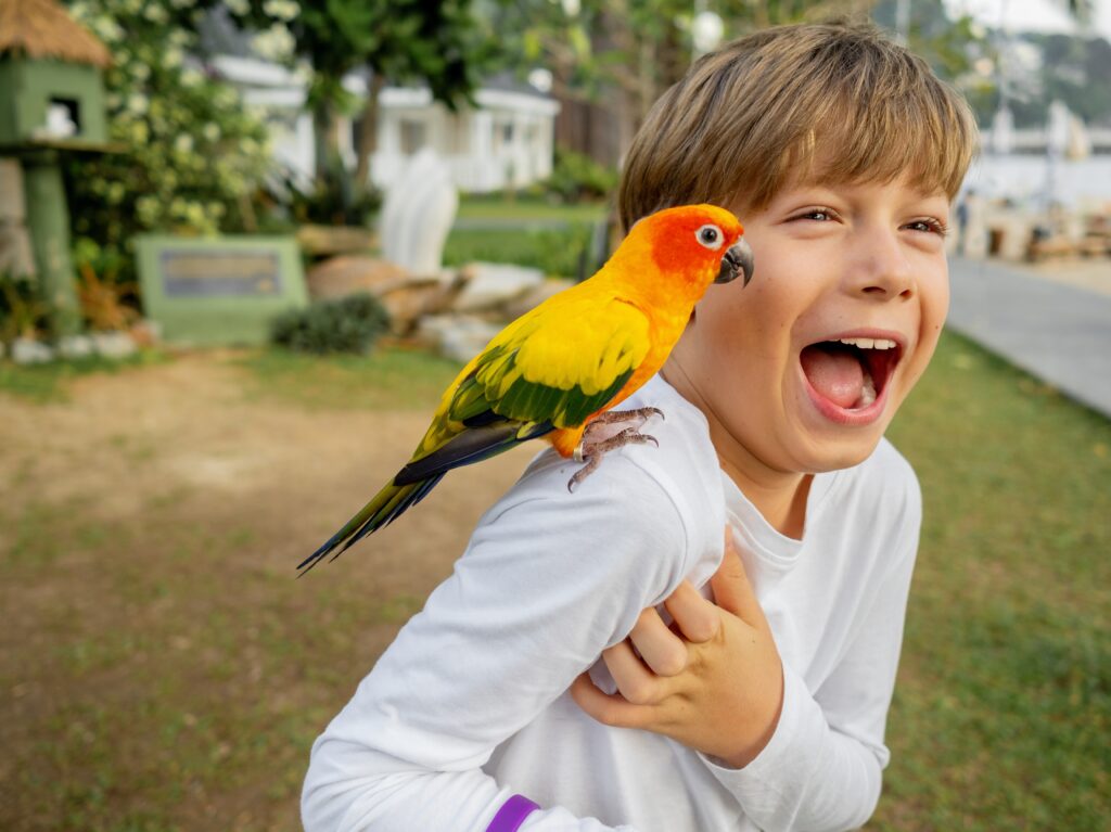 regalo de Comunión para visitar un parque de animales