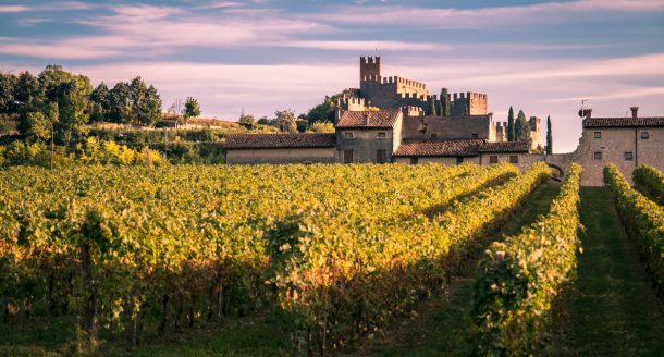 Cours d’œnologie : et si vous optiez pour une expérience en plein cœur des vignobles ?