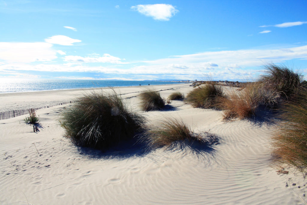 plus belles plages de France : Espiguette, Grau du Roi