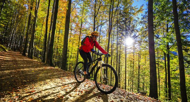 Les meilleurs sports de plein air à faire en hiver