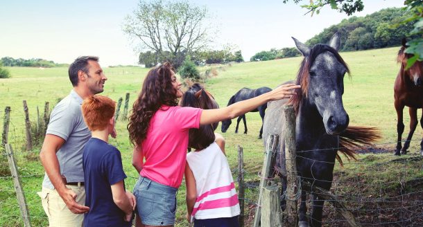 Quelle activité en famille fait-on ce week-end ?