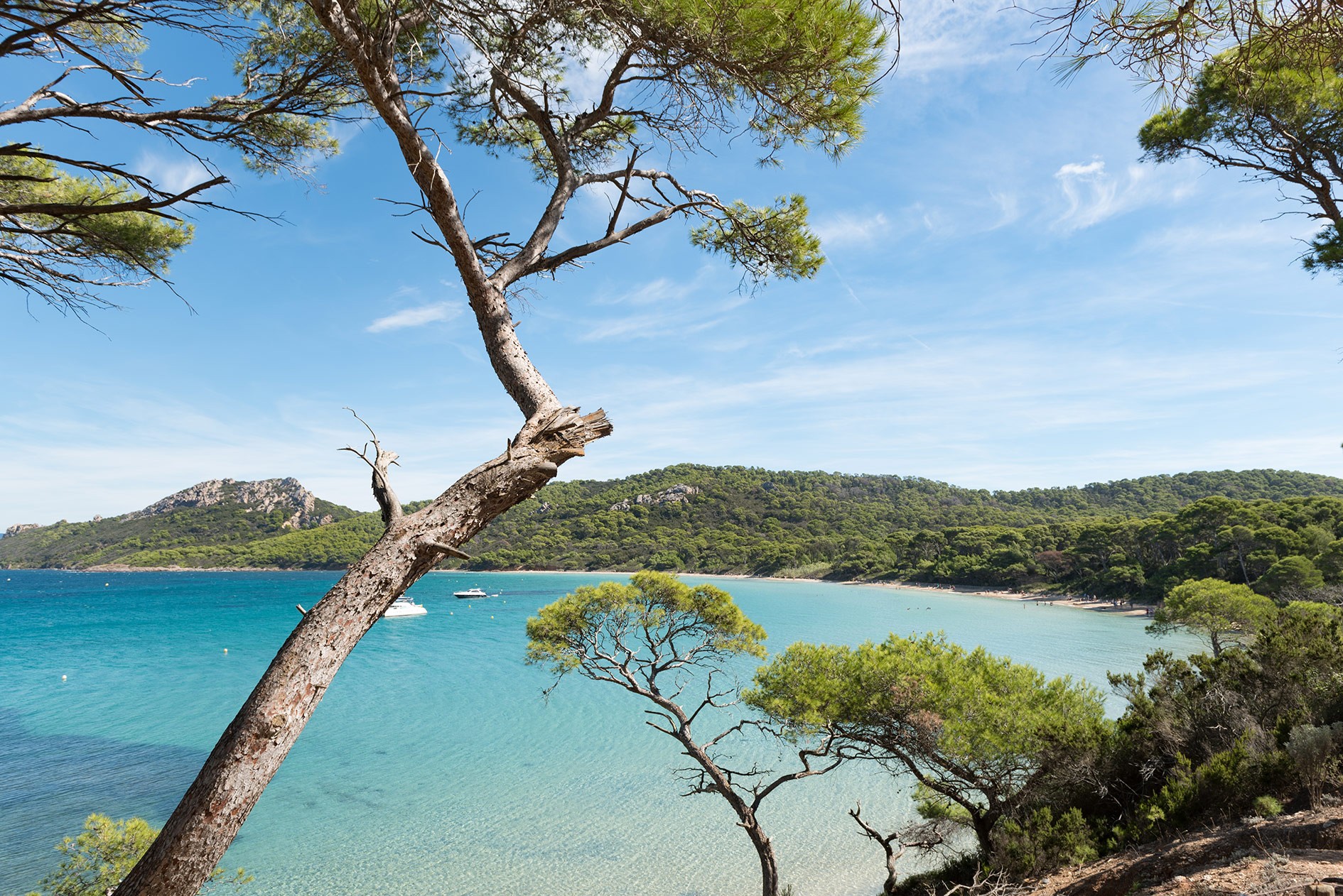 Plage Notre Dame, Porquerolles