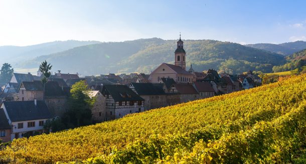 Zoom sur les vins d’Alsace et ce vignoble aussi divers que riche en arômes