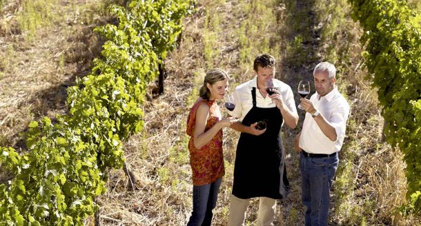 De nouveaux coffrets œnologie ! Nos dernières surprises pour les amateurs de vin