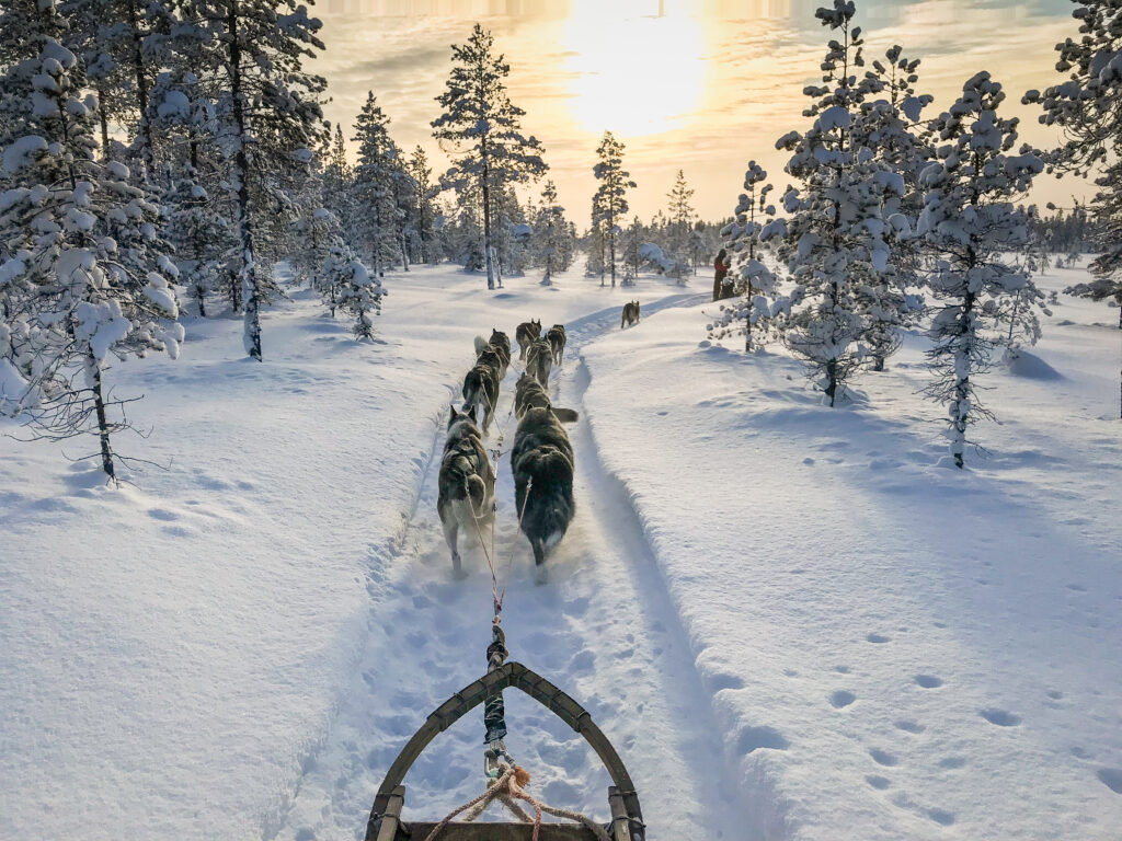 Alla guida di una slitta nella neve