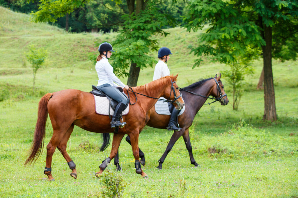 Rigenerante escursione a cavallo