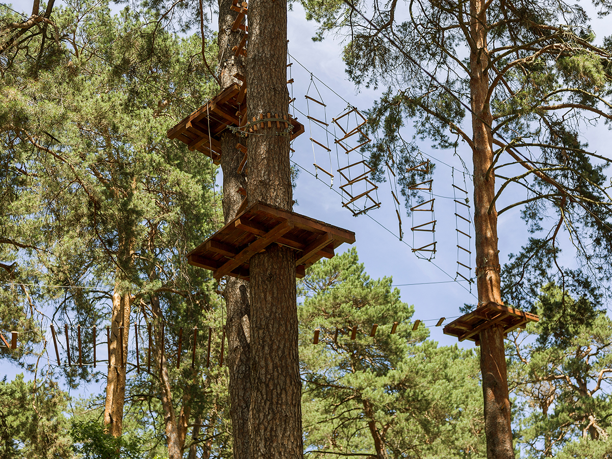 divertimento in un parco avventura