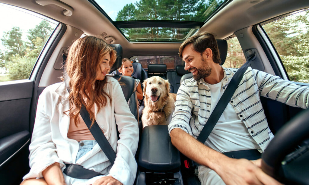 In viaggio con il cane verso un hotel pet friendly