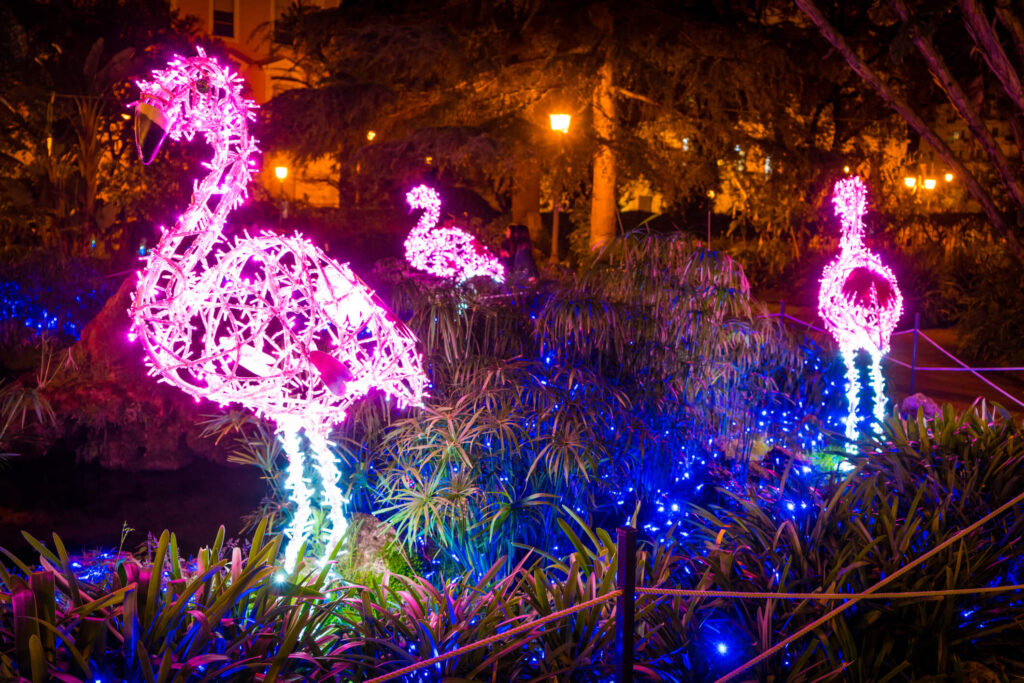 Installazione di fenicotteri per le Luci d'Artista di Natale a Salerno